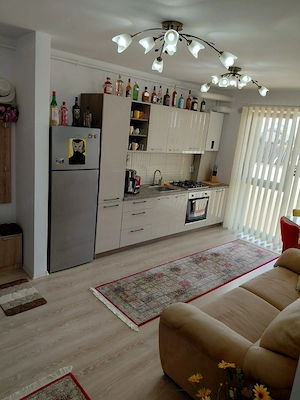 Apartament 2 camere zona Turnișor - imagine 3