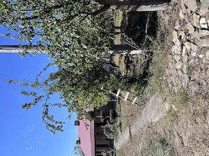 Vand teren intravilan 3012 mp + casa cu 3 intrari separate in Magura Bacau