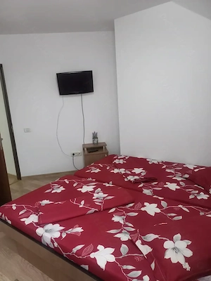 Cabană de închiriat la munte RANCA - imagine 2