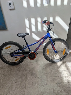 Bicicleta copii mtb SPECIALIZED Riprock Coaster 20 - Royal Blue| 6-9 ani