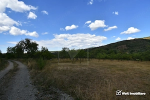 Vanzare casa in zona Ciucea-Vanatori, Cluj, acces de pe asfalt, teren mare - imagine 8