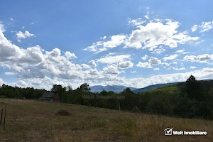 Vanzare casa in zona Ciucea-Vanatori, Cluj, acces de pe asfalt, teren mare - imagine 13