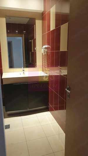Apartament 2 camere spatios, mobilat, in Rin Grand Residence - imagine 11