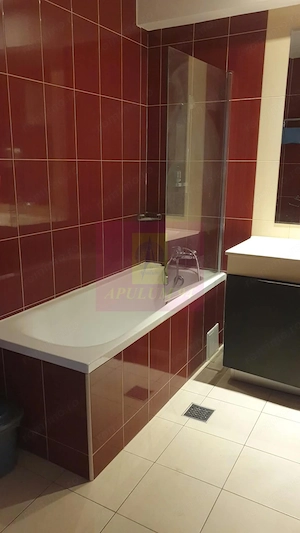 Apartament 2 camere spatios, mobilat, in Rin Grand Residence - imagine 19