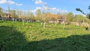 Vând teren   Costești-Vâlsan, jud. Argeș   7.800 mp - imagine 5