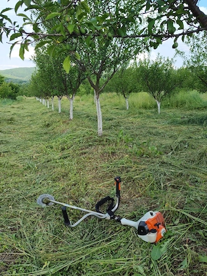 Vând teren   Costești-Vâlsan, jud. Argeș   7.800 mp - imagine 4