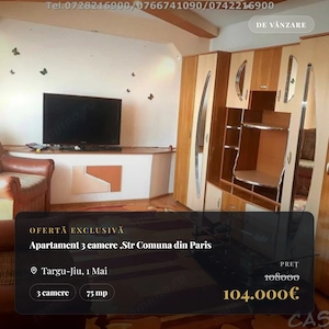 Apartament 3 camere , Bld. Ecaterina Teodoroiu, Targu jiu - imagine 11