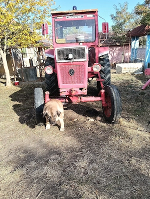 vand tractor cu utilaje