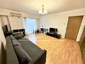 Apartament 3 min METROU - DECOMANDAT - Piata Victoriei | Titulescu | Spring Time - imagine 2