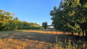 Ferma 4 Hectare Oportunitate! - imagine 7