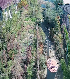 Teren de vanzare