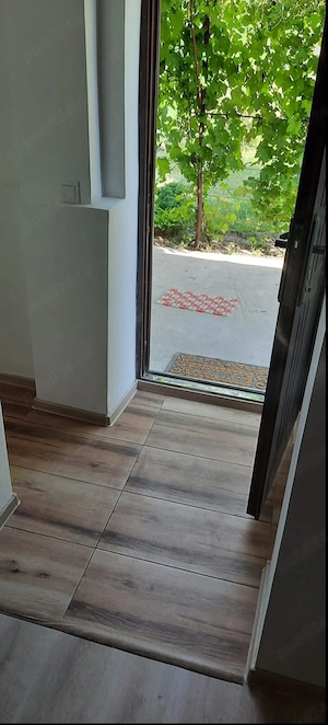Vand casa ,Plopsoru,Daia - imagine 5