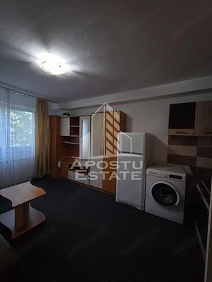 Apartament cu 1 camera, etajul 2, zona Telegrafului, in Timisoara - imagine 3