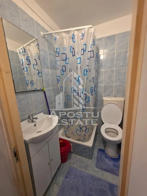 Apartament cu 1 camera, etajul 2, zona Telegrafului, in Timisoara - imagine 4