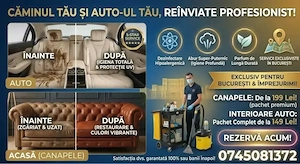 Curățare Tapițerii Auto & Canapele la Domiciliu | Injectie-Extracție Profesională