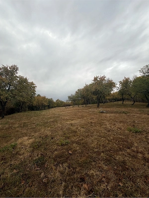 Teren de vânzare 2.614 mp în Sohodol, Tismana   livadă, acces asfaltat, deschidere 27,84 m