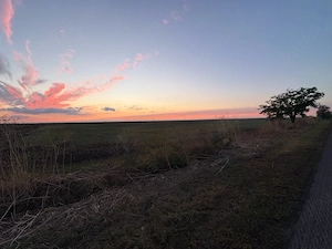 De vanzare teren agricol 