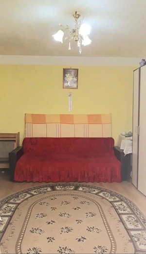 Vanzari apartamente 2 camere, Str.Luntrei - imagine 8