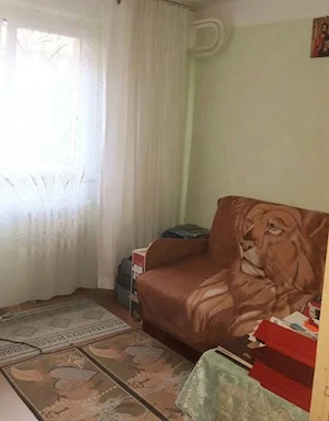 Vanzari apartamente 2 camere, Str.Luntrei - imagine 10