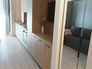 Apartament 1 camera de inchiriat, Sector 3 - imagine 3
