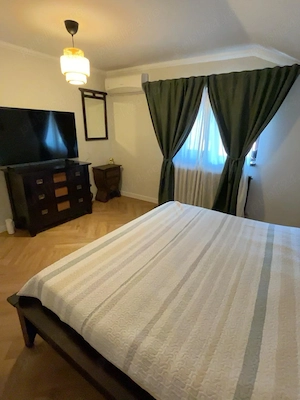 Două case, o singură proprietate, vedere la lac   Cernica - imagine 5