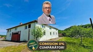 Farliug Casa sau Afacere 125 000 euro