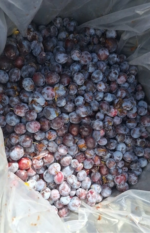 Vand borhot prune 2 lei kg