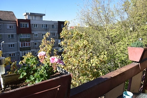 De vanzare apartament 3 camere decomandat tip AN,zona Perla,Oradea - imagine 9