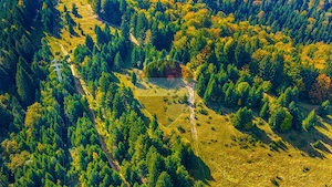 Teren intravilan | Timisul De jos | Canionul 7 Scari | Oportunitate! - imagine 3