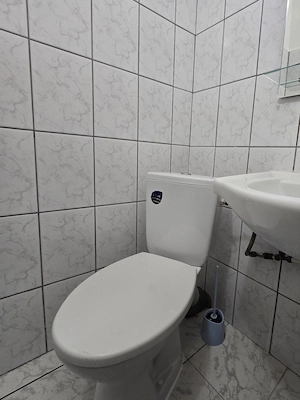 Prima inchiriere ap. 1 camera Buziasului - direct de la proprietar. - imagine 8
