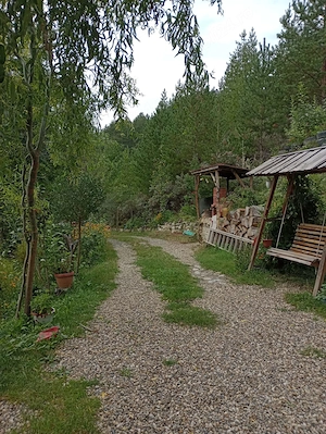 Casă  Gospodărie la țară la poale de munte! - imagine 3