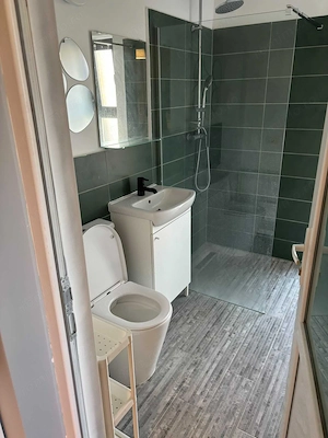 Inchiriere apartament cu o camera Mosnita Noua - imagine 3