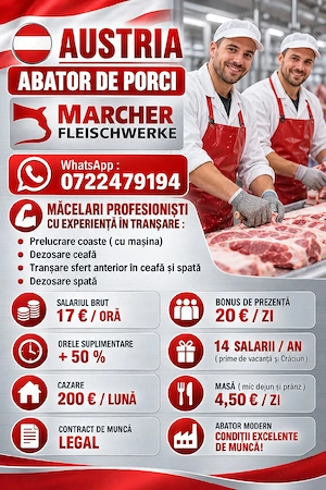 AUSTRIA  - Abator porc  - Villach  ! 