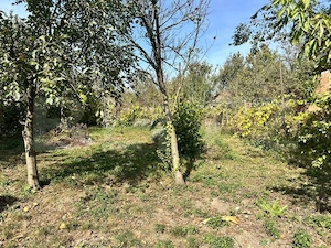 Casa de vanzare, 80 mp, zona Murgesti, comuna Acatari - imagine 5