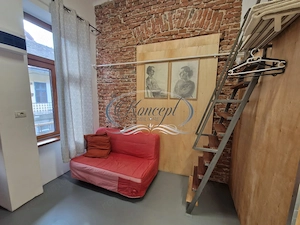 Centru, apartament cu 1 camera de vanzare, autorizat pentru regim hotelier