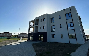 Apartament cu 2 camere, parter, Mosnita Noua - imagine 8