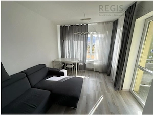 Garsoniera petfriendly Avangarden - imagine 3