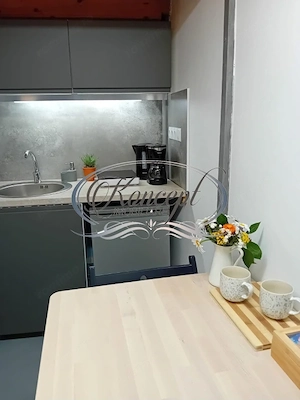 Centru, apartament cu 1 camera de vanzare, autorizat pentru regim hotelier - imagine 6