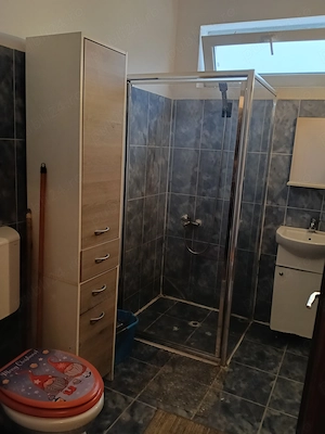 Proprietara vand apartament  - imagine 8