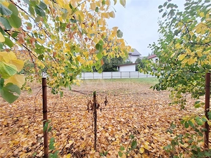 Teren 900 mp intravilan, zona Gradina cu Magnolii - imagine 8