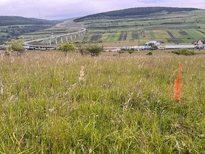 Teren de vanzare in Valcele - imagine 7