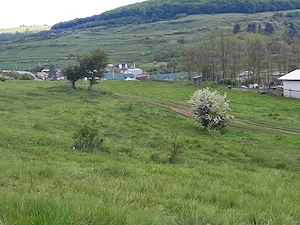 Teren de vanzare in Valcele - imagine 6