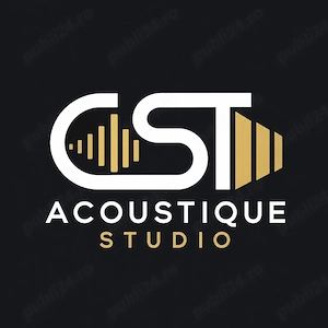 constructie acustica si fonic