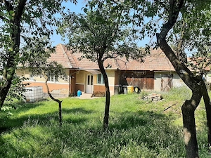 Teren cu utilitati si casa veche in Rediu