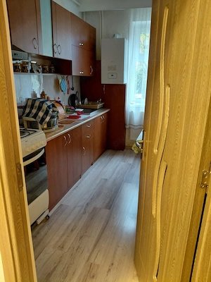 Vand apartatament 2 camere, Pitesti, Trivale, semidecomandat, parter, langa parcul Trivale - imagine 8