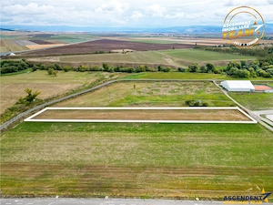 Teren intravilan 9.675 mp, zona Sepsi Arena, Sfantu Gheorghe, Covasna - imagine 4