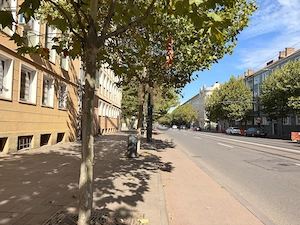 Apartament in Centru, langa Litere! - imagine 8