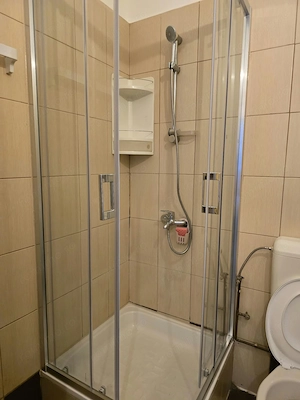 Apartamente de închiriat zona Faculate Medicina - imagine 6