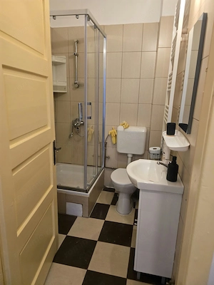 Apartamente de închiriat zona Faculate Medicina - imagine 5