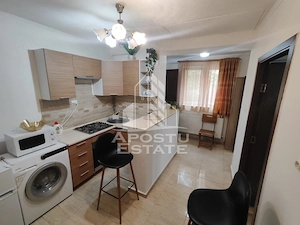 Apartament cu 1 camera de inchiriat la casa ,centrala proprie Sagului. - imagine 3